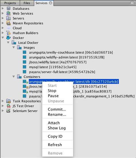 Image result for NetBeans Plugin Spring Boot