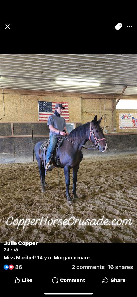 MARIBEL · Copper Horse Crusade