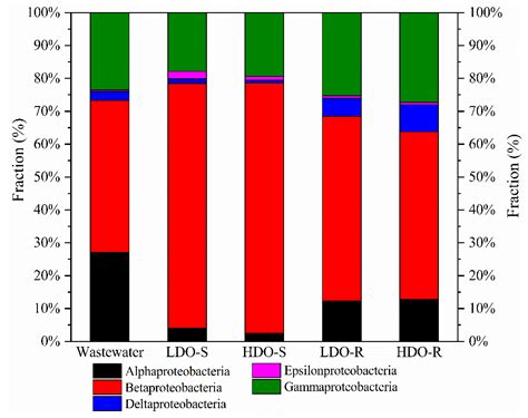 High-Loaded Bioflocculation Membrane Reactor of Novel Structure for ...