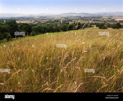 Olympus way hi-res stock photography and images - Alamy