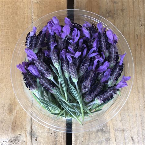 How Do You Know If Lavender Is Edible at Jennifer Church blog