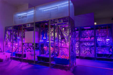 2018 Highlights - Superflux