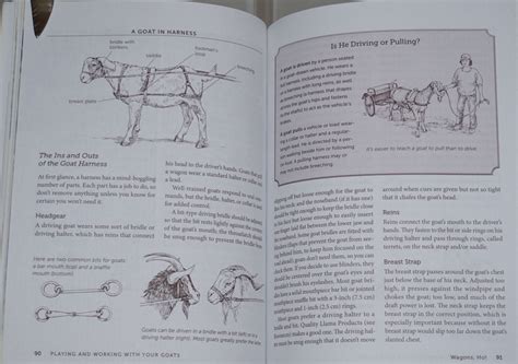 The Pet Goat Book