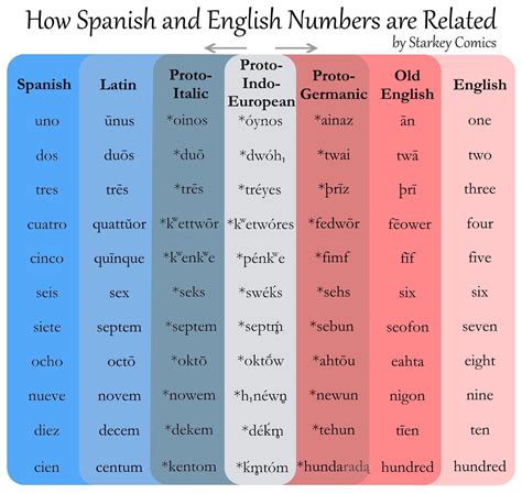 Numbers In Spanish 64pg Brighter Child NUMEROS / NUMBERS Spanish ONLY