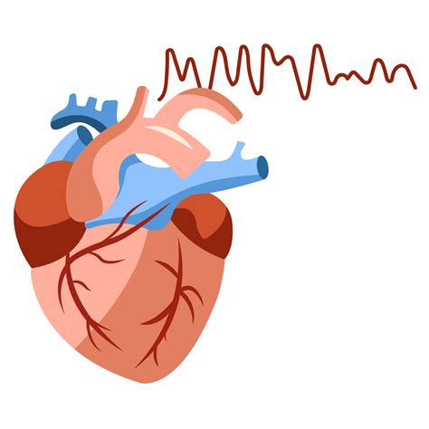 Why is Rapid Defibrillation Important? - CardiacDirect