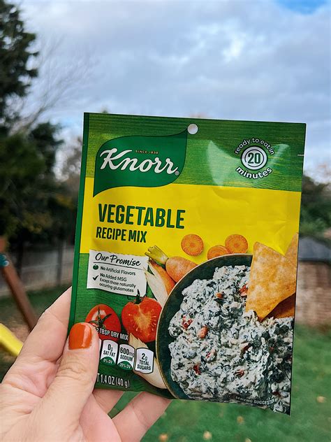 Knorr Vegetable Dip Mix Classic Knorr Spinach Dip Recipe The Kitchen