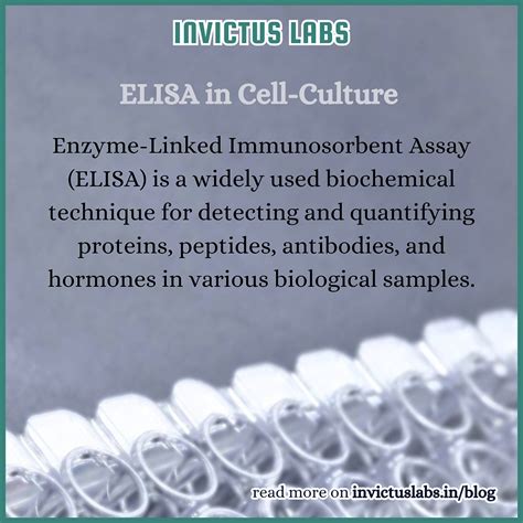 ELISA in Cell Culture: Principle, Applications, and Importance