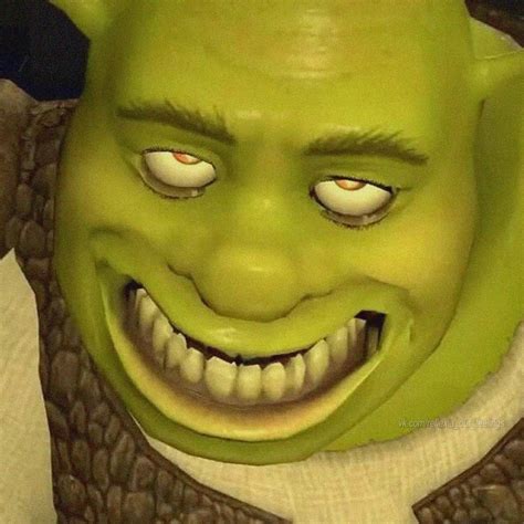 Shrek Side Eye Smirk