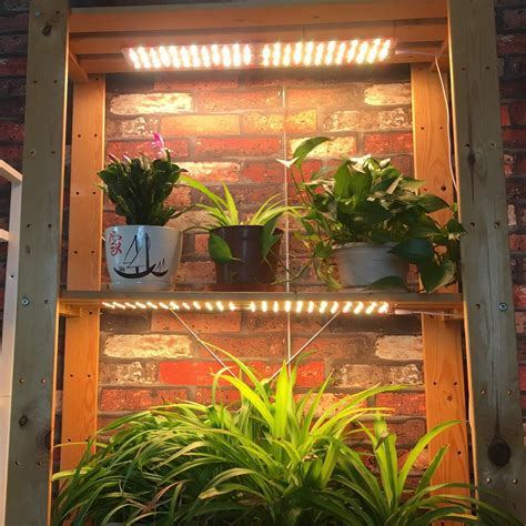 ACKE LED Grow Light for Indoor Plants,Plant Light for Grow Light Stand ...