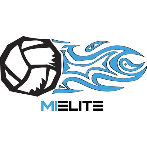 Michigan Elite Volleyball Academy
