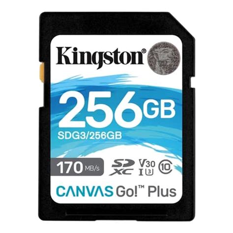 Buy Kingston Canvas Go Plus 256GB SD Card, Best Price