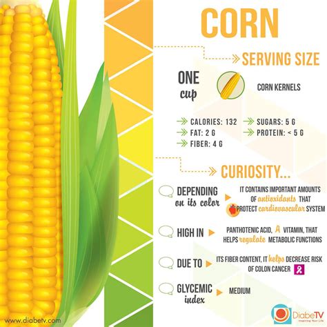 Corn Kid Facts at Lynn Sparks blog