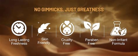 Buy WILD STONE CODE Terra Eau De Parfum For Men, 100Ml|Luxury Perfume ...