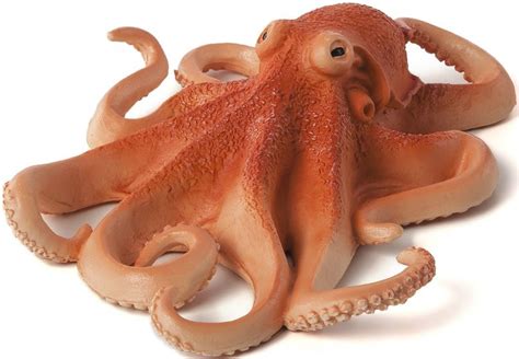 Image result for Octopus Metaheuristic Algorithm