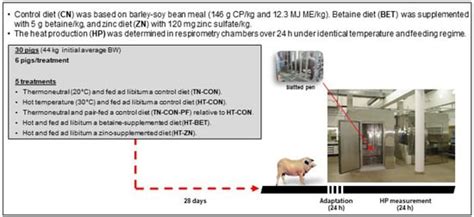 Heat Production of Iberian Pig Exposed to High Temperature and Effect ...