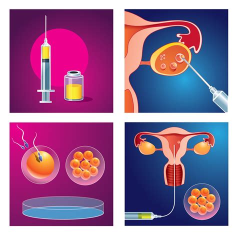 Premium vector in vitro fertilization step by step method artificial ...