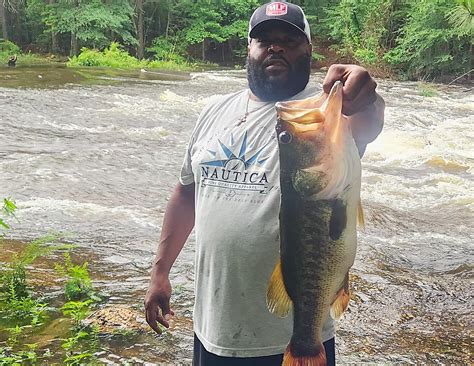 Arkansas Fishing Report - Weekly Updates | AGFC - News Usa Today