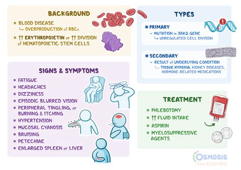 Polycythemia: What Is It, How It Differs from Polycythemia Vera, and More | Osmosis