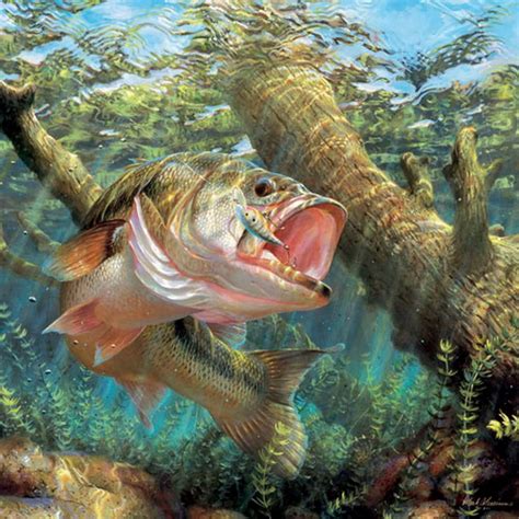 Bass Fishing Wallpapers For Android - Wallpaper Cave