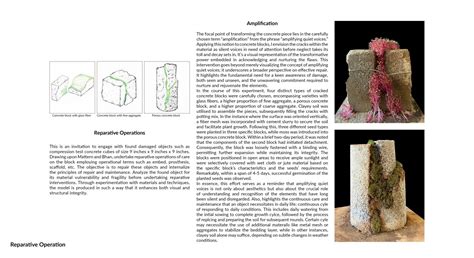 Everyday Resilience: Exploring Repair & Maintenance | CEPT - Portfolio