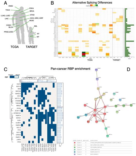 A Systematic Identification of RNA-Binding Proteins (RBPs) Driving ...