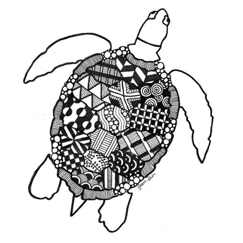 Image result for Real Turtle Shells Drawing