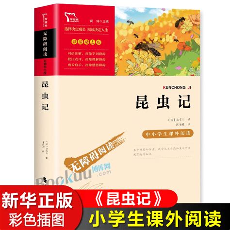 西游记注音版小学1-3年级彩图正版儿童书籍6-7-8-12岁小学生一二年级课外书班主任儿童文学读物故事书少儿名著拼音版_虎窝淘