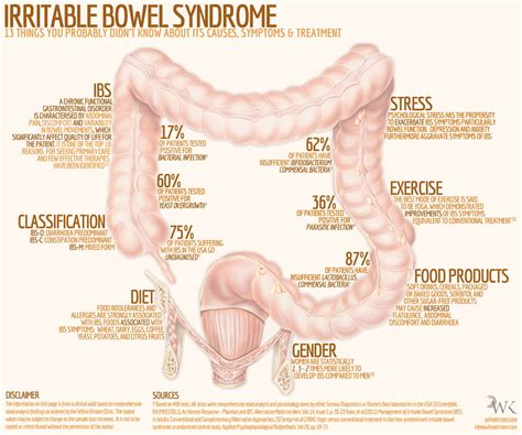 Can Your Spine Affect Your Bowels at Marcelene Grant blog