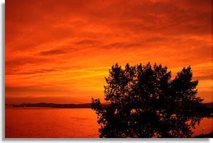 sunset 11 Paper Print - Nature posters in India - Buy art, film, design ...