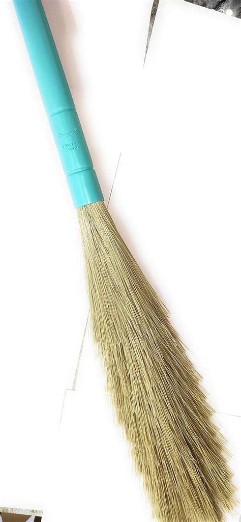 Prestige Zero Dust Broom Stick (Blue) : Amazon.in: Home Improvement
