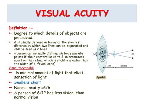 PPT - Physiology of Vision Lecture-2- Accommodation & Pupillary Light Reflex PowerPoint ...