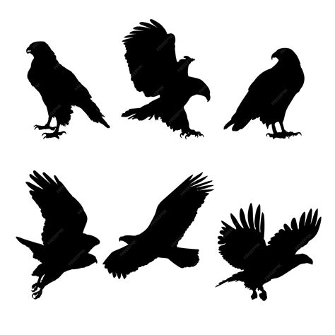 Premium Vector | Set of silhouettes of eagles vector design