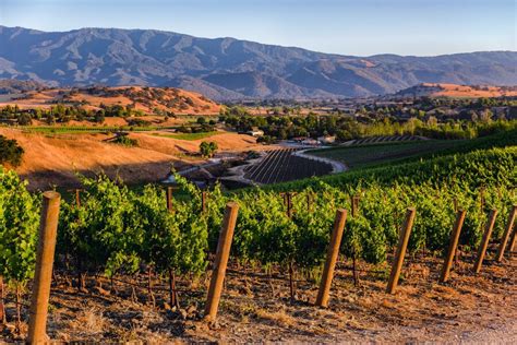 Best Santa Barbara Wineries: All the Places Worth the Drive From LA ...