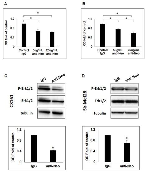 Netrin-1 Stimulates Migration of Neogenin Expressing Aggressive ...