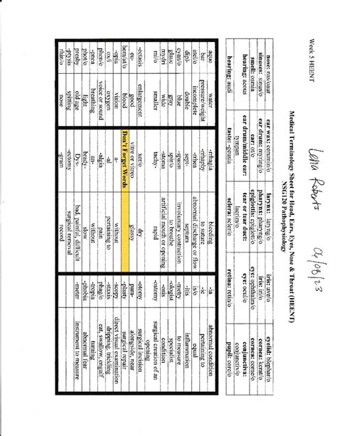 EENT Medical Terminology Worksheet - (D(D lf (,r Fl L r_. z -J -E= N. S ...