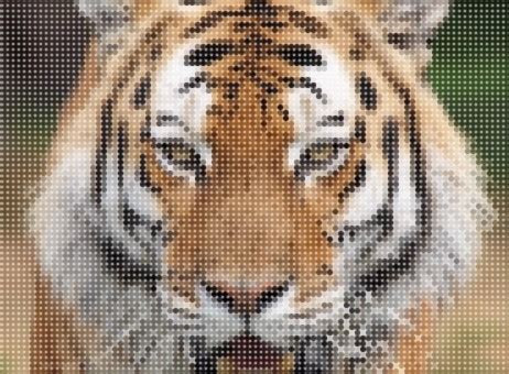 Image result for Mosaic JavaScript Code