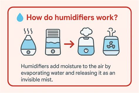 The Complete Humidifier Guide: Types, Benefits, Usage Tips and Safety