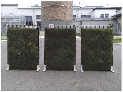 Viability of Living Moss for Indoor Green Walls: A Study on Temperature ...