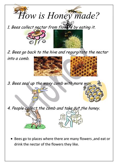 How is honey made | DOCX