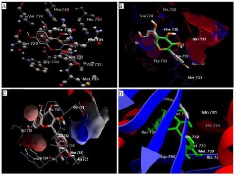 Quercetin and Coumarin Inhibit Dipeptidyl Peptidase-IV and Exhibits ...