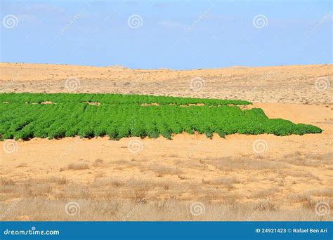 Israel Agriculture