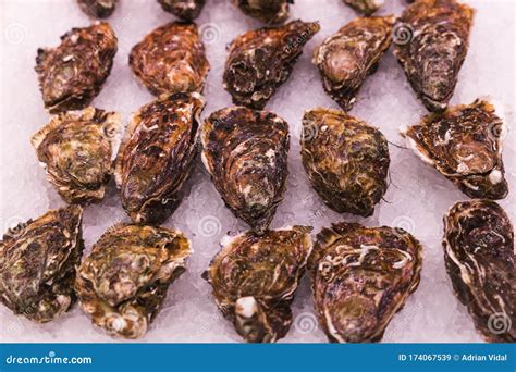 Stock Photo of a Close-up of a Lot of Oysters at a Spanish Market Stall ...
