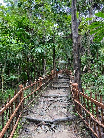 Mud Volcano (Baratang Island) - 2020 What to Know Before You Go (with ...