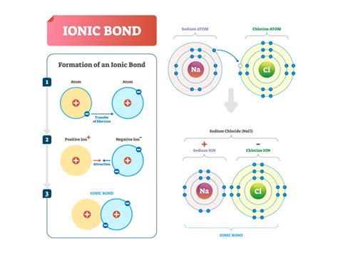 Ionic (or) Electrovalent bond — lesson. Science State Board, Class 9.