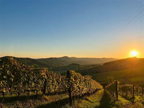FATTORIA POGGERINO (Radda in Chianti, Tuscany, Italy) - B&B Reviews ...