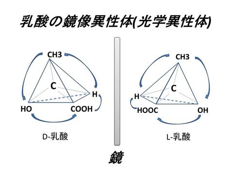 Image result for Plus Two Computer Science Chapter Names