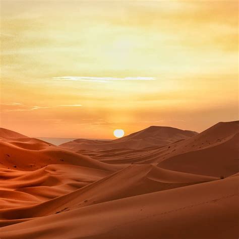 TRAVEL TO MOROCCO / TOURS & DAY TRIPS (2026) All You Need to Know ...