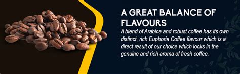 TGL Co. Euphoria Original Premium Instant Coffee (100 gm) + Vanilla ...