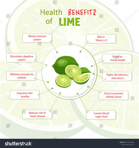 Health Benefits Lime Limes Nutrients Infographic Stock Vector (Royalty ...