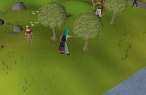 Willow logs - OSRS Wiki